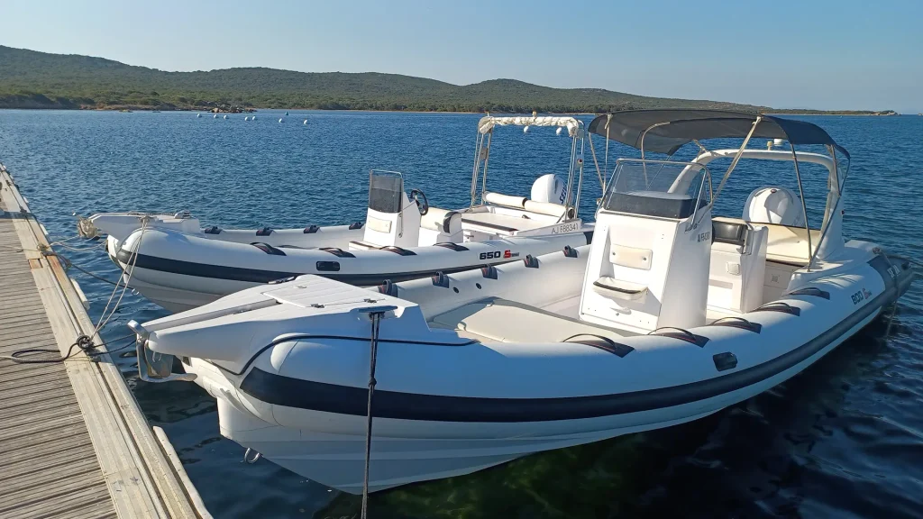 Location bateaux Selva D800 Spécial à Pianottoli